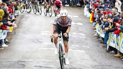 Cobbles vs climbs: The performance factors behind a Classics specialist