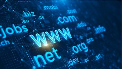 What does a domain registrar actually do?