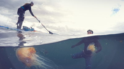 "A unique opportunity to fuse sport, nature, and science" - record-breaker Ross Edgley to swim around Iceland