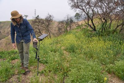 Left alone by humans, wildlife returns to the Eaton Fire burn area
