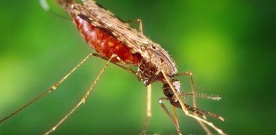 Malaria scorecard: battles have been won and advances made, but the war isn’t over