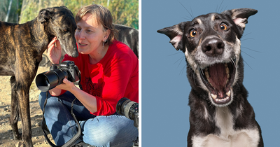Photographer Is On A Mission To Change Perceptions Of Hunting Dogs With Heartfelt Portraits