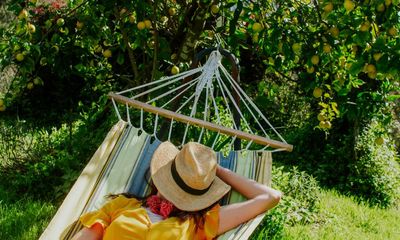 Don’t dig, pair plants and automate the mowing: eight gardening hacks you’ll wish you’d known sooner