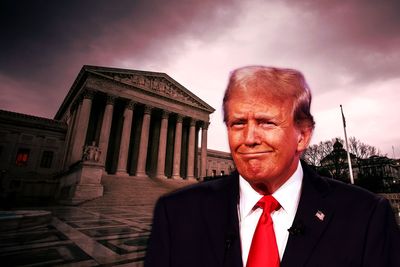 Trump tariffs flunk rational-basis test