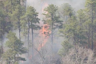 Forecasters warn of fire risk amid low humidity, wind gusts as Pine Barrens fire burns