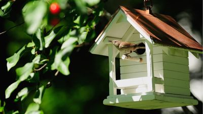 An architectural birdhouse is the most charming backyard trend I've ever seen – these 6 are my top picks, and they're in the sale