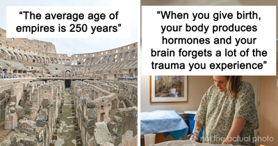 Someone Asks What Facts Sound Comforting But Are Actually Highly Disturbing, And 21 People Deliver