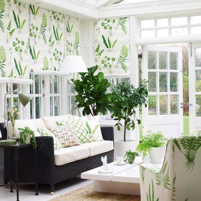 I wasted £3,000 trying to make my old conservatory usable — this is what I wish I'd done instead