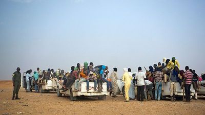 More than 1,800 migrants expelled from Algeria into Niger, says rights group