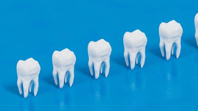 Lab-grown teeth could offer alternative to fillings and implants, scientists say