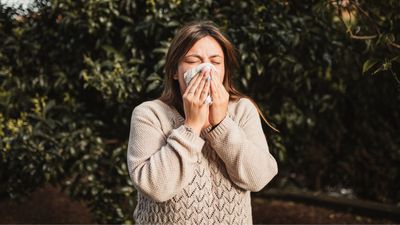 Hay fever giving you a cough? These 7 natural remedies can help - and honey’s not on the list