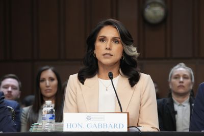 Tulsi Gabbard Blasted for 'False' Claim That Federal Employees Spent 'Half Their Day on DEI Work' Under Biden: 'Making It Up as She Goes'