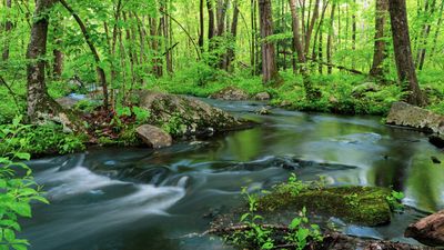 Massachusetts mother of 4 dies in fall during family hike in Purgatory Chasm