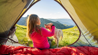 25 things to pack for camping with your dog: The complete checklist
