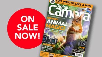Get 14 bonus gifts with the May 2025 issue of Digital Camera