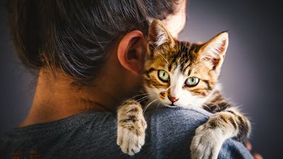 If your cat doesn’t like to cuddle, here’s what they might prefer