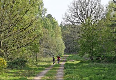 The sun's out and so am I: why there's no shame in being a fair-weather bike rider