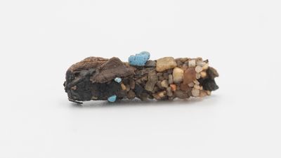 Microplastics have been in 'pristine streams' for half a century — what could that mean for human health?