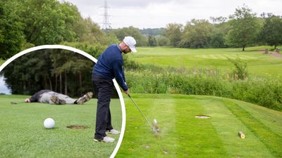 Are You Tired Of Your High-Handicap Golfer Status? These 4 Substantiated Tips Are Your Salvation