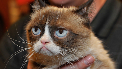 How A Sydney Student’s $1 T-Shirt Led To A US$100,000 Grumpy Cat Copyright Nightmare