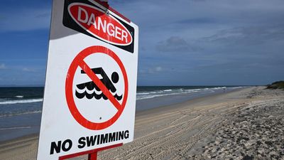 Extra aerial shark patrols for Australian coastline