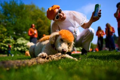 The Netherlands is turning orange to celebrate King Willem-Alexander's birthday