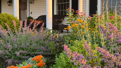"I’m a Landscape Designer — These Are the Biggest Mistakes in Gardens I See People Making"