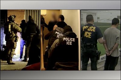 ICE Arrests Nearly 800 Migrants in Florida in 'First of Its Kind' 4-Day 'Operation Tidal Wave'