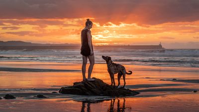 Most pet-friendly vacation destinations revealed, with top 10 states and cities named