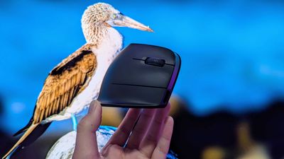 This new vertical mouse is saving my wrist, and the company I least expected is responsible