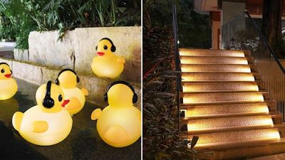 60 Weird, Genius Things for Your Backyard You Never Knew Existed