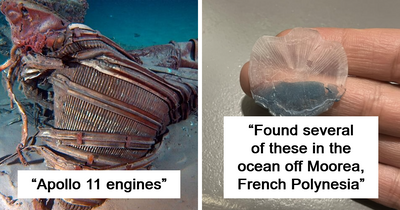 30 Times The Ocean Coughed Up Something It Shouldn’t Have