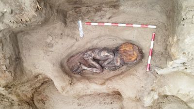 5,000-year-old burial of elite woman with inlaid toucan's beak found in Peru