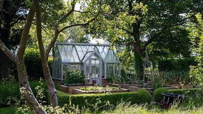 The greenhouse that is on this professional gardener's wishlist is currently on sale – it will supercharge your summer veg harvest
