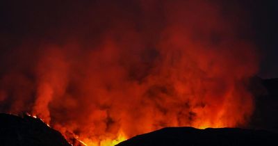 Lack of data on muirburn amid wildfires labelled ‘national scandal’