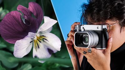 I’m a wildlife photographer but I forced myself to shoot the streets on the Fujifilm GFX100RF — here’s what happened