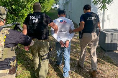 ICE works with Florida cops to arrest nearly 800 undocumented immigrants in a ‘first-of-its-kind’ agreement