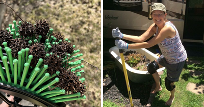 26 Genius Finds For Anyone Whose Gardening Style Is Best Described As ‘Benign Neglect’