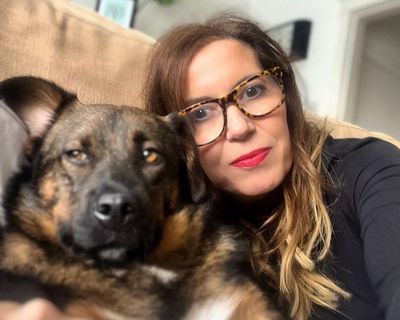 ‘I think I’m about to die, then I see a white flash and Henry is on the bear’s back’: the hero dogs who save lives