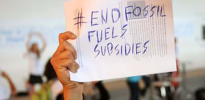 Fossil fuels are still subsidised: G20 could push for the funds to be shifted to cleaner energy