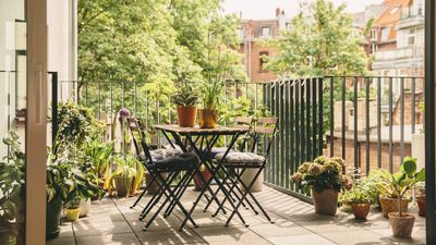 How to compost in NYC – the new mandatory regulations you need to know about, plus what can and can't be composted in the city