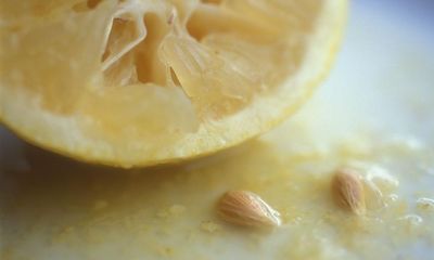 Readers reply: Are there more pips in lemons than there used to be?