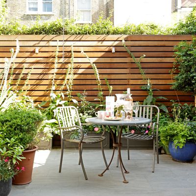 These are the 5 best climbing plants to transform an urban courtyard garden into a blooming oasis, according to garden experts