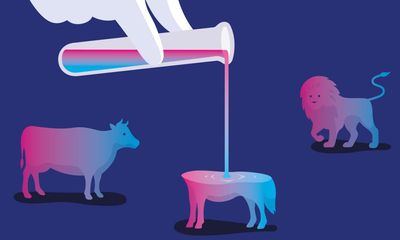 The big idea: will we ever make life in the lab?