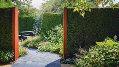 Narrow garden mistakes – 9 design ideas experts say to avoid if you have a slender plot, and what to do instead for the best results