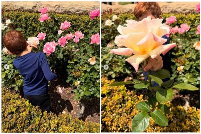 Meghan shares pictures of ‘little loves’ Archie and Lilibet picking flowers