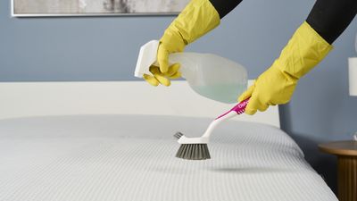 'The only thing that worked for us' — the pet-friendly pest killer that gets rid of bed bugs