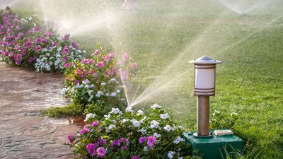 5 things to consider before buying a water sprinkler system, according to experts