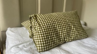 I would never normally spend £150 on a pillow, but this luxury pillow has turned me into an "architect of sleep"