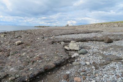 Industrial waste turning to rock in decades, research finds